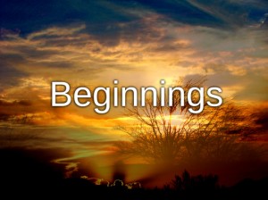 Beginnings - Rorie Still - FlashBang Sci-Fi