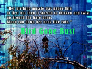 Bird-Gone-Bust