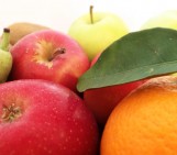 Fruits of Labor